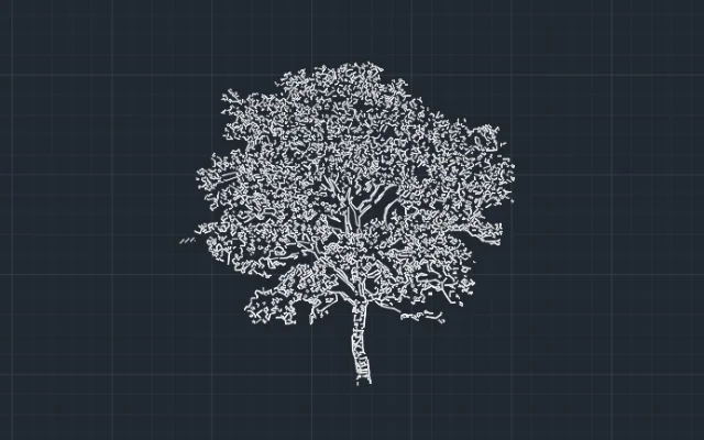 Imagen de bloque de árbol para AutoCAD