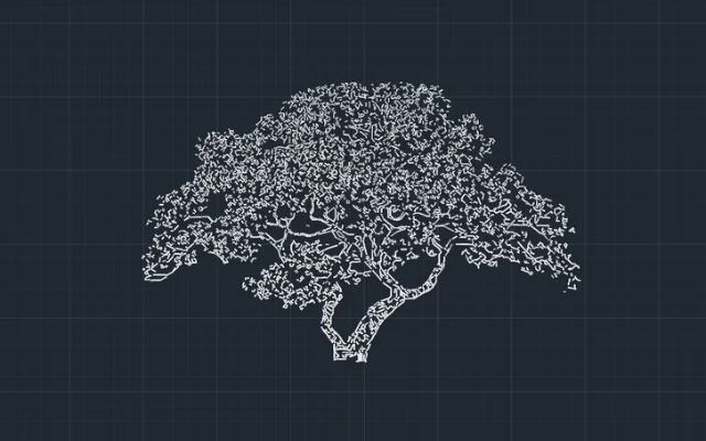 Imagen de bloque de árbol para AutoCAD